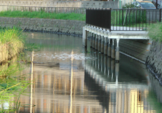 葛西用水河川環境整備工事例